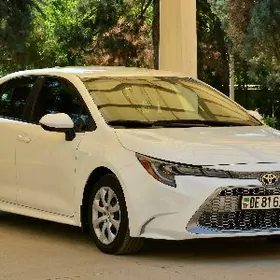 Toyota Corolla 2021