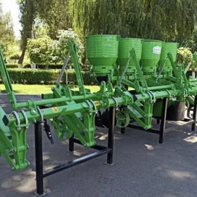 Pagta Hatara ara bejergi Kulte