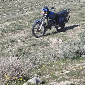 Fekon FK200-14G 2024