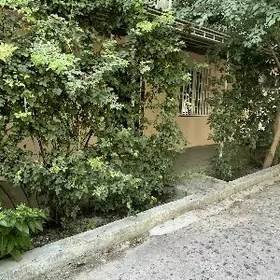 Şewçenko, 3-Komnat. Kwartira