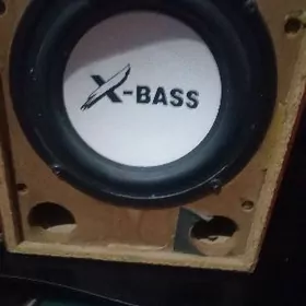 Bass kalonka