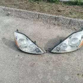 Сиенна фара 2008