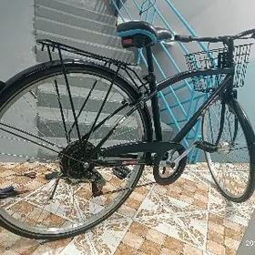 TIGIR GERMANSKI ТИГИР ГЕРМАНСК