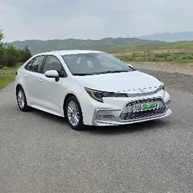 Toyota Corolla 2021