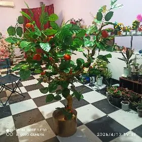 искусственный растения