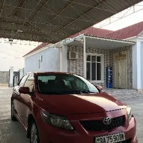 Toyota Corolla 2010