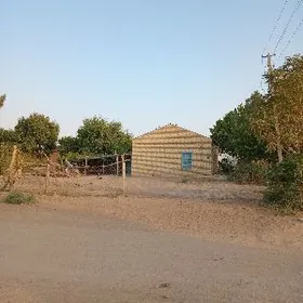 Недвижимость