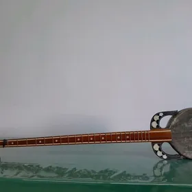 PLEKTRLI- DUTAR RUBAP