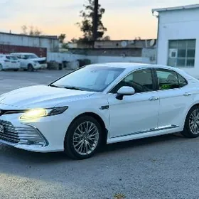 Toyota Camry 2020