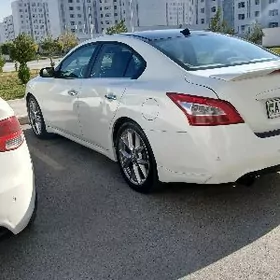 Nissan Maxima 2010