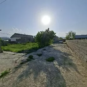 Gokdepe Hurmant Gokje