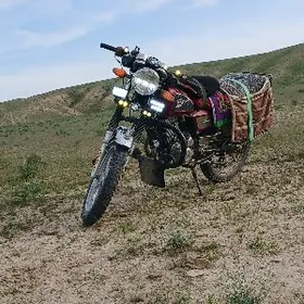 Fekon FK200-14G 2026