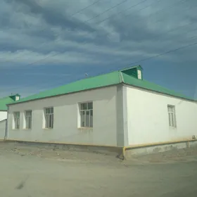 Gokdepe jay
