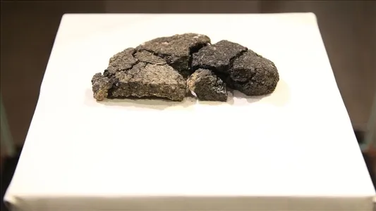 Археологи нашли в Турции хлеб возрастом 5000 лет