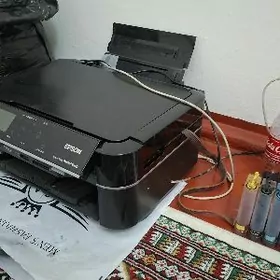 Epson p660