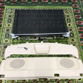 Setga, Zanaweska yewropeyka