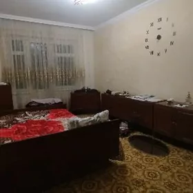 Buzmeyin Tomatny Satlyk 3 kom