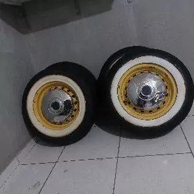 13lik diska pakriska