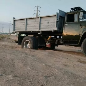 ŞEBN DERS GUM MITI SEMENT ÇĂGE