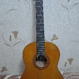 Yamaha C40