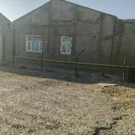 Gyzlarwat şakirin ýany