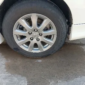 215.65.16 diska pakryska