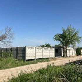 Daça Ayrapordyn yani