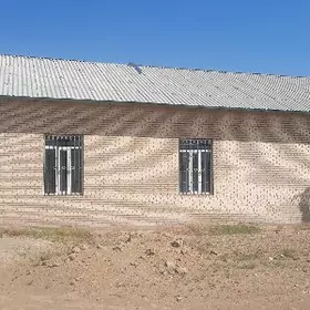 Арзув микр. Сейди