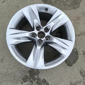 2019 Haylandr limited 1 stuk d