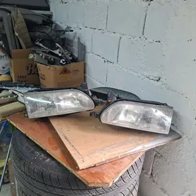 Babocka fara onki morda