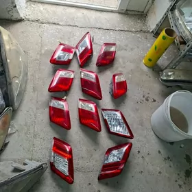 Okuz kelle bagaz çyra morda