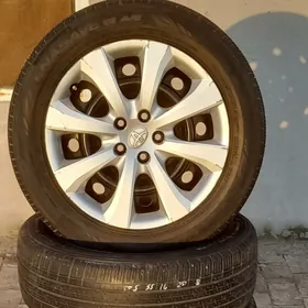 disga pakrişga 16lyk karolla