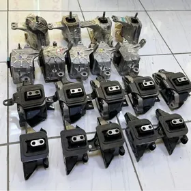 Paduska Kia/Hyundai Morda