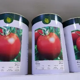 Помидор тохумы