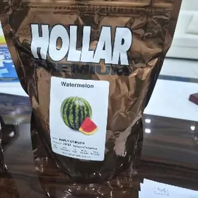 Гарпыз тохум