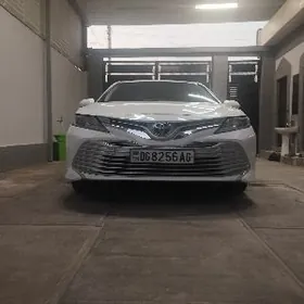 Toyota Camry 2019