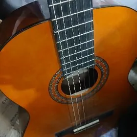 gitara