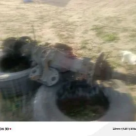 Maz  ýeke mos çulok