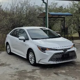 Toyota Corolla 2022