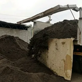 MITI SEBIL DERS ÇAGE GUM MYTY