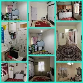 гаудан В ближе мира