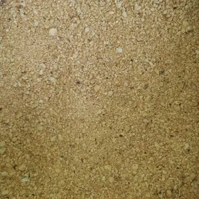 Soya bedene juyje un