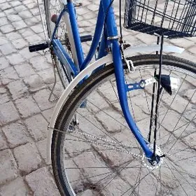 Wiloseped. 27 lik arassaja