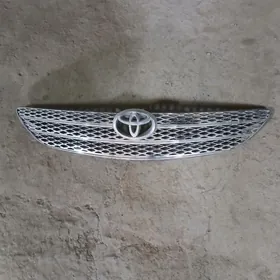 Абилсофка сатлик