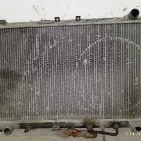 Babycka radyator 3 lik morda