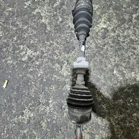 carolla granat cep tarap