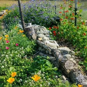 Bekrewe boş mellek ýer