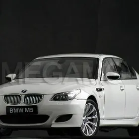 BMW E60 2009
