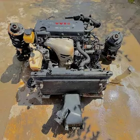 Mator 2,4 Camry Haliji