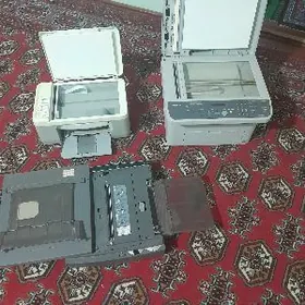 Printer HP, Samsung, Canon